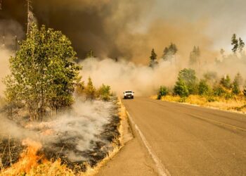 Wildfire smoke may reduce the amount of Rain in Western U.S, says study