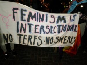 A Look into the TERF Logic