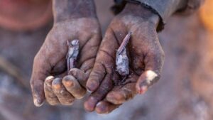 World’s first Climate Change induced famine expected in Madagascar