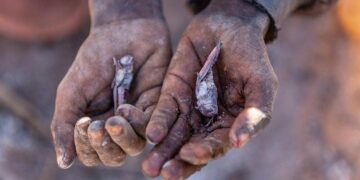 World's first Climate Change induced famine expected in Madagascar