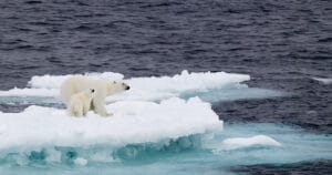 A new ‘Sustainable Development Pathway’ devised to control Climate Change along with the fulfilment of the SDGs