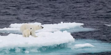 A new ‘Sustainable Development Pathway’ devised to control Climate Change along with the fulfilment of the SDGs