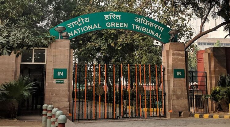 The Monitoring Committee of NGT highlighted "organized loot of natural resources" in Himachal Pradesh