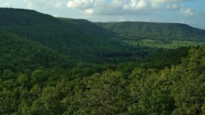 National Environment Parliament to be held to protect the Buxwaha forests in MP