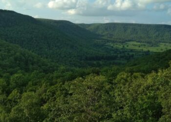 National Environment Parliament to be held to protect the Buxwaha forests in MP