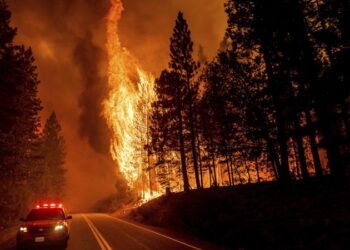 California Dixie Wildfire now Second worst in the history of the state