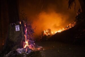The earth is heating up and we can no longer escape her wildfires