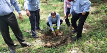 DU makes tree plantation mandatory part of the curriculum from the next academic session