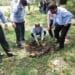 DU makes tree plantation mandatory part of the curriculum from the next academic session DU makes tree plantation mandatory part of the curriculum from the next academic session