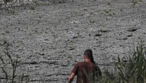 Drought might bring the ecological crisis to Hungarian lake Valence