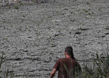 Drought might bring the ecological crisis to Hungarian lake Valence