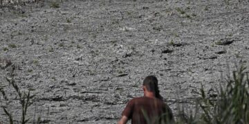 Drought might bring the ecological crisis to Hungarian lake Valence