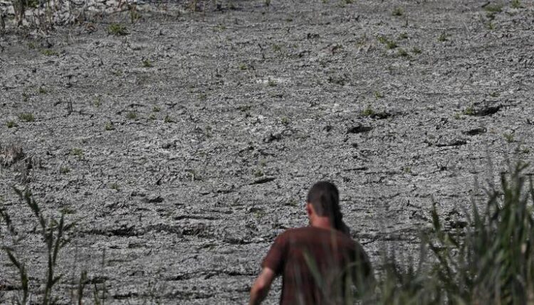 Drought might bring the ecological crisis to Hungarian lake Valence