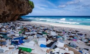 The Plastic Waste Crisis Is Not To Be Ignored Amidst The Climate Action Plans, Say Scientists