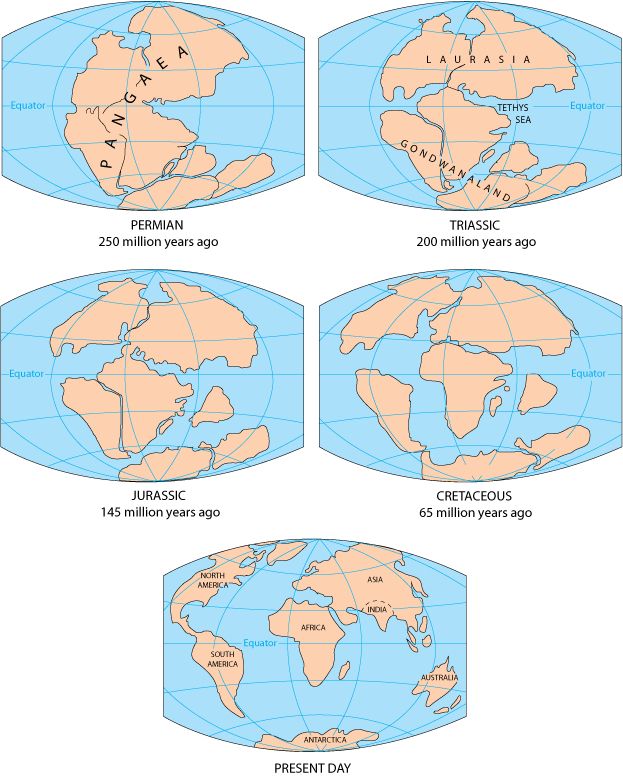 From One Supercontinent to 7 and Back: Researchers claim all continents might club together at the equator