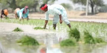 MSP Hike By The Centre, Farmers Say “A Revenge” Against Them