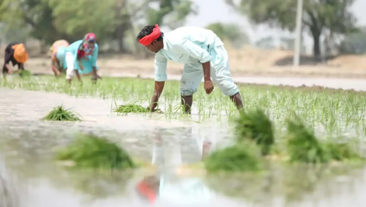 MSP Hike By The Centre, Farmers Say “A Revenge” Against Them