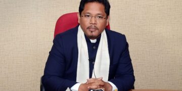 Meghalaya CM Said The State Will Ensure Environmental Protection Before Promoting Palm Oil Cultivation