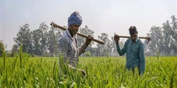 Tata Cornell Institute builds hub for FPOs with $1 million grant by Walmart foundation