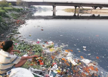 The references and initiatives for River preservation are not sufficient till they are fueled by strict laws.