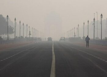 India seeks compensation for damages to the environment caused by wealthy nations