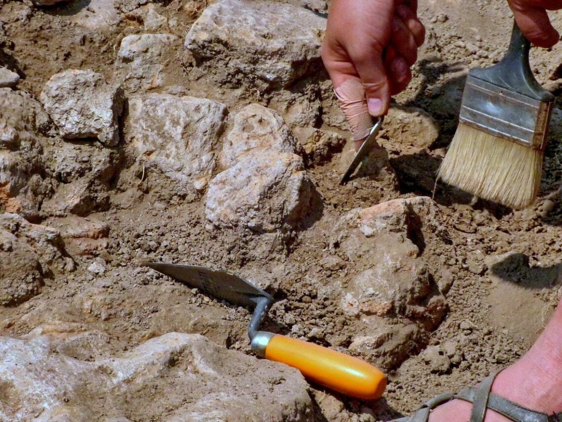 Youngest populations of ‘Acheulean’ human ancestors remains found in India: study