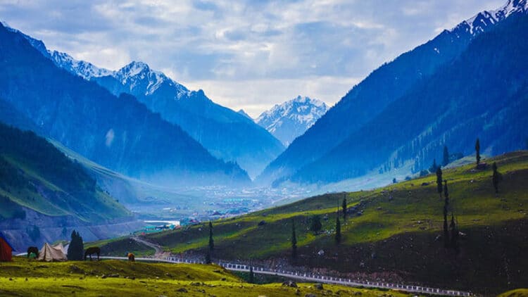 Remembering the extraordinary people Kashmir has produced