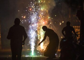 Firecrackers are Hazardous to Human and Animal Health