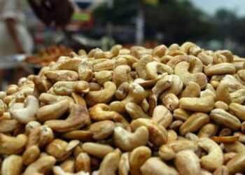 World Cashew day: Know how India can become Aatmanirbhar in Cashew Production