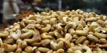 World Cashew day: Know how India can become Aatmanirbhar in Cashew Production