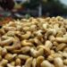 World Cashew day: Know how India can become Aatmanirbhar in Cashew Production World Cashew day: Know how India can become Aatmanirbhar in Cashew Production