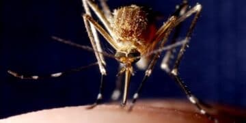 IS IT ANOTHER OUTBREAK COMING OUR WAY?