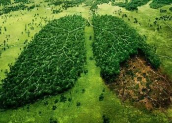 Can Greenwashing save the Lungs of Earth?