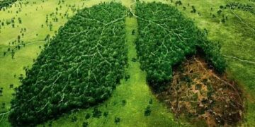 Can Greenwashing save the Lungs of Earth?