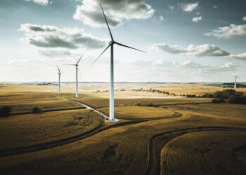 Time to adopt a coordinated approach for decarbonization of the economy