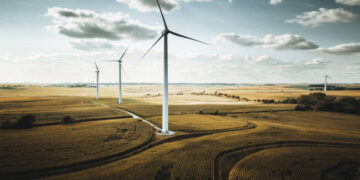 Time to adopt a coordinated approach for decarbonization of the economy