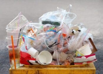 The disastrous facts about Plastic will make you quit even a single use.