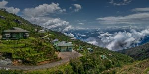 From living in Treehouse to being Non-Patriotic: Top 8 myths about NorthEast Indians and its facts.