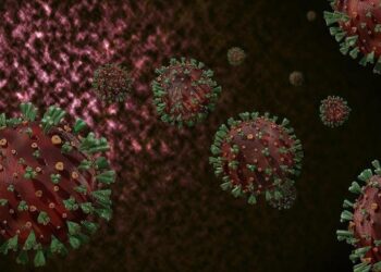 Experts predict that India would have a weak Covid-19 third wave by early next year