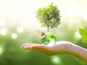Positive and hopeful environmental stories that you might have missed