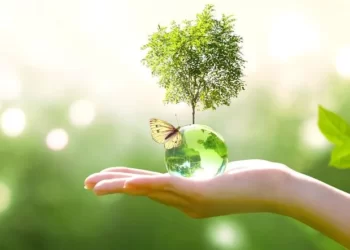 Positive and hopeful environmental stories that you might have missed