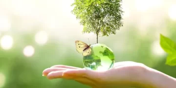Positive and hopeful environmental stories that you might have missed