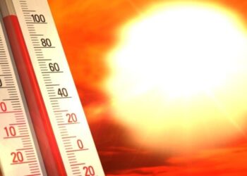 2022 will be one of the warmest on record with “extreme heat events” expected