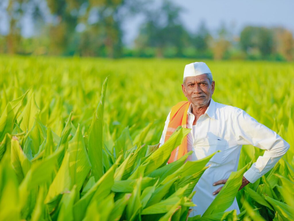 Political Parties Promise Farm Loan Waiver and Free Electricity, But the amount is beared by the state treasury