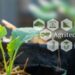 7 Emerging Agritech Startups In India 7 Emerging Agritech Startups In India