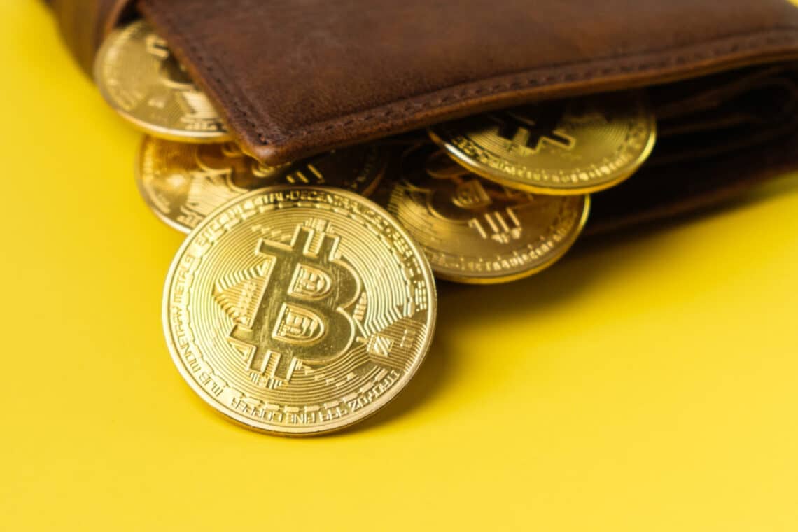 Here Is Every Important Point To Know About Bitcoin Wallets