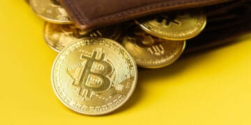 Here Is Every Important Point To Know About Bitcoin Wallets