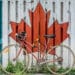 Traveling to Canada - should you go urban or rural? Traveling to Canada – should you go urban or rural?
