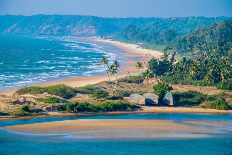 Goa’s Pet-Friendly Travel Guide
