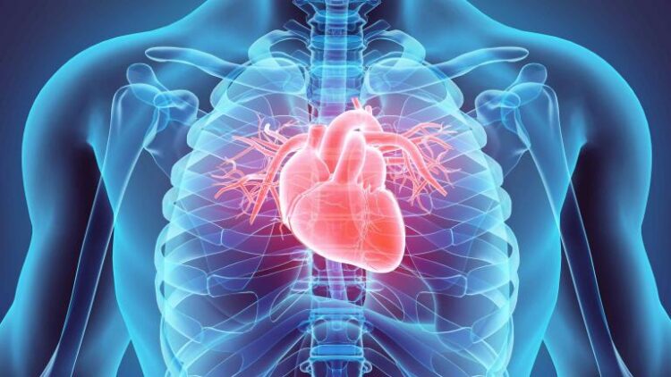 The Probability of Cardiovascular Disease is still high even a year after Covid-19, research says